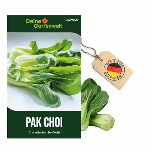 Pak-Choi-Samen Deine Gartenwelt Pak Choi Chinesischer Senfkohl