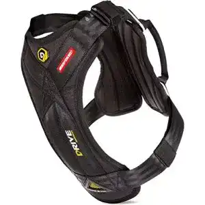 Hundegeschirr Auto EzyDog Sicherheitsgeschirr Hund, L, Schwarz