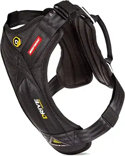 Hundegeschirr Auto EzyDog Sicherheitsgeschirr Hund, L, Schwarz