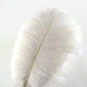 Weiße Federn Crenze 10Pcs Straußenfedern 30-35cm, weiß