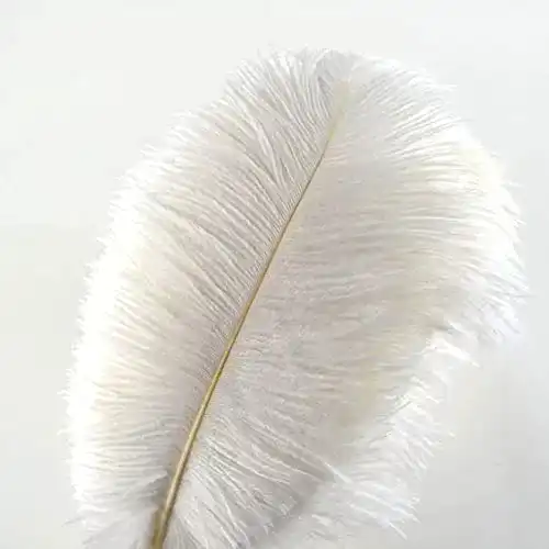Die beste Weiße Federn Crenze 10Pcs Straußenfedern 30-35cm, weiß 2026 Test Bestseller Weiße Federn Crenze 10Pcs Straußenfedern 30-35cm, weiß