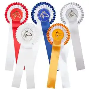 Turnierschleife PFIFF n Set mit 5 Schleifen mit Zweifachrosette