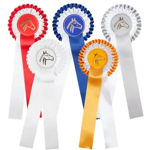 Die beste Turnierschleife PFIFF n Set mit 5 Schleifen mit Zweifachrosette 2026 Test Bestseller Turnierschleife PFIFF n Set mit 5 Schleifen mit Zweifachrosette