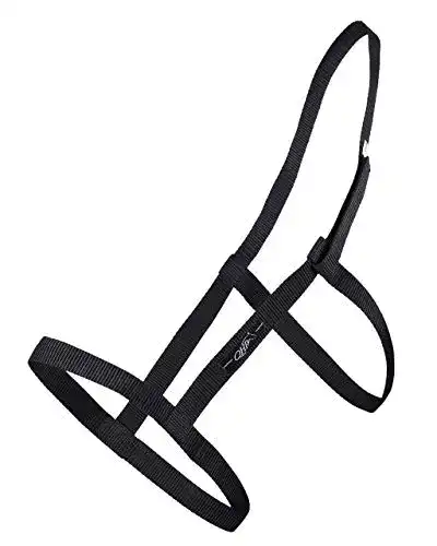 Halfter QHP Weide mit Klettverschluss schwarz (Shetty)