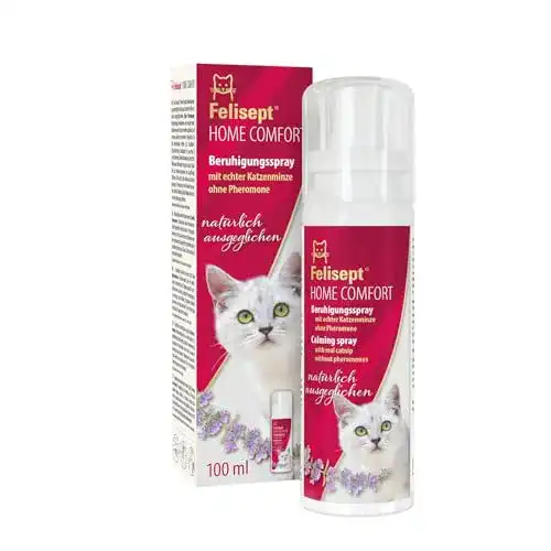 Katzenminze-Spray Felisept Home Comfort Beruhigung 100ml