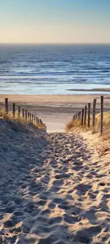 Türtapete Bilderdepot24 selbstklebend | Schöner Weg zum Strand III