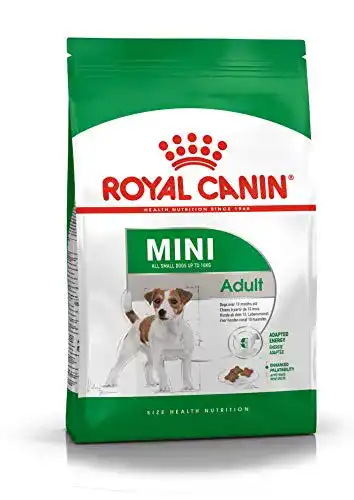 Die beste Royal Canin Trockenfutter Hund ROYAL CANIN 35205 Mini Adult 2026 Test Bestseller Royal Canin Trockenfutter Hund ROYAL CANIN 35205 Mini Adult