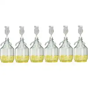 Gärballon lilawelt24 6 x Set 5L Bügelflasche + Stopfen