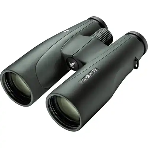Fernglas 8×56 Swarovski Optik Swarovski SLC 8×56 Fernglas