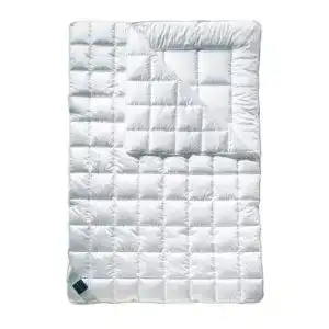 Billerbeck-Bettdecke Billerbeck Faserdecke 321 Classic-Clean Duett