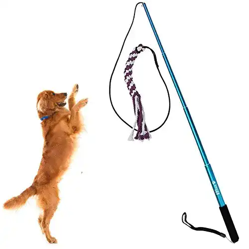 Reizangel (Hund) Sanzang Hundespielzeug, ausziehbar Länge