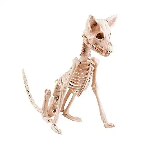 Hundeskelett Boland 72186 Dekoration Hunde Skelett
