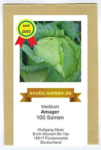 Weißkohl-Samen exotic-samen Weißkohl, Amager, 100 Samen