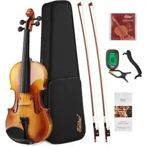 Geige Eastar 4/4 Violine Set Massivholz mit Hartschalenkoffer