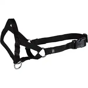 Erziehungshalsband TRIXIE 13003 Top Trainer Ausbildungsgeschirr