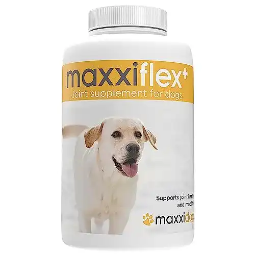 Gelenktabletten für Hunde maxxipaws maxxiflex+, 120 Stück