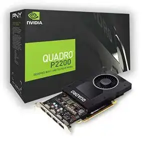 Nvidia-Grafikkarten PNY Quadro P2200 Professional Grafikkarte