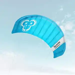 Lenkmatte 2-Leiner Skymonkey Skystormer 2.3 (inkl. Lenkbar)