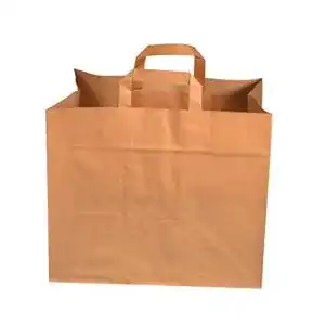 Papiertragetasche Pro DP 250 Papiertüten Einkaufstüten Bio