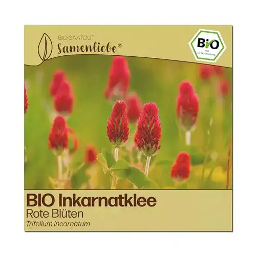 Inkarnatklee Samenliebe BIO Samen Rote Blüten Gründünger
