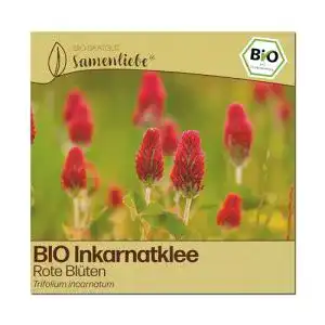 Kleesamen Samenliebe BIO Inkarnatklee Rote Blüten, 1000 Samen