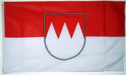 Frankenfahne trends4cents 90 x 150 cm mit verstärktem Hissband