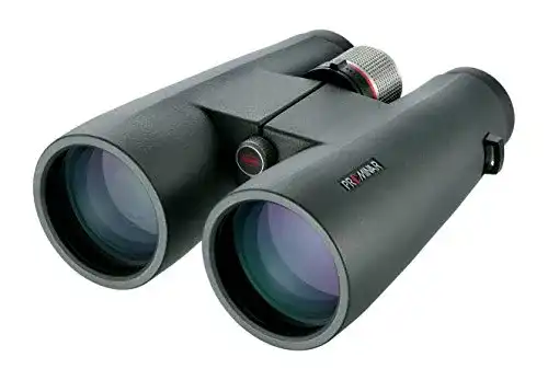 Fernglas 12×56 Kowa BD Prominar XD binoculaire