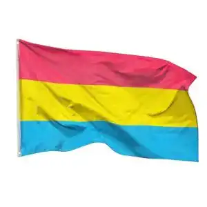 Pan-Flagge PHENO FLAGS Pan Pride Flagge 90 x 150 cm