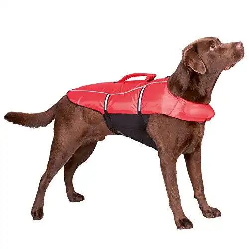 Die beste Schwimmweste für Hunde Trixie 30145 XL: 65 cm 2026 Test Bestseller Schwimmweste für Hunde Trixie 30145 XL: 65 cm