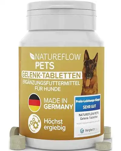 Die beste Teufelskralle Hund NATUREFLOW Gelenktabletten 100 Tabletten 2026 Test Bestseller Teufelskralle Hund NATUREFLOW Gelenktabletten 100 Tabletten