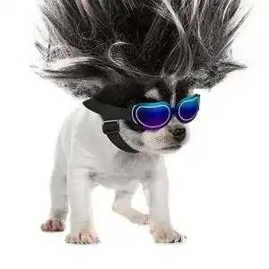 Hundebrille Pawaboo Hunde Sonnenbrille, einstellbares Band
