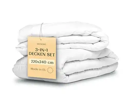 Die beste Daunendecke 240 x 220 WENDRE 4 Jahreszeiten Bettdecke 2026 Test Bestseller Daunendecke 240 x 220 WENDRE 4 Jahreszeiten Bettdecke
