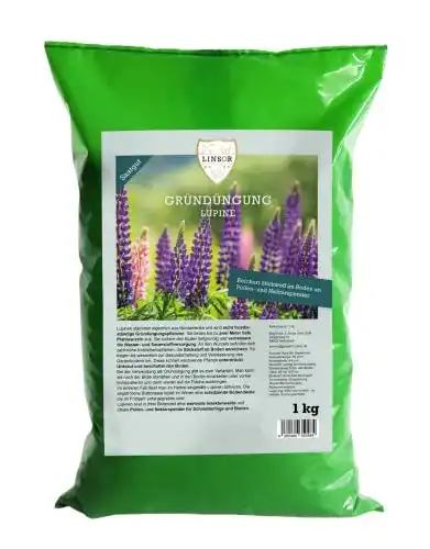 Lupinen Gründünger Linsor, blaue Süßlupine, 1kg für 30m²