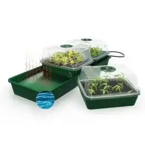 Zimmergewächshaus Bio Green Hollandia Anzuchtstation mit Kapillarmatte