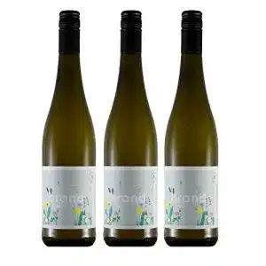 Weißburgunder Weinhaus Brand | Bio trocken (2020) | 3 x 0,75l