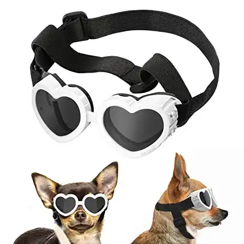 Die beste Sonnenbrille Hund Lewondr, für Kleine Hunde UV Schutzbrille 2026 Test Bestseller Sonnenbrille Hund Lewondr, für Kleine Hunde UV Schutzbrille