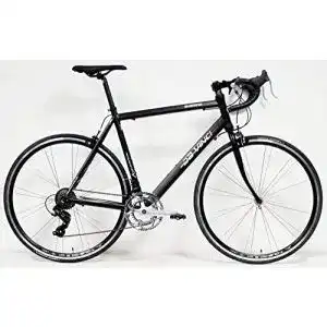 Crossbike Da Vinci Rennrad 14 Gang mit Shimano Lenkerschaltung