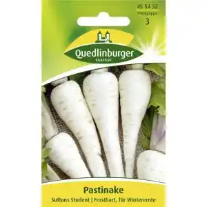 Pastinakensamen Quedlinburger Pastinake, Suttens Student