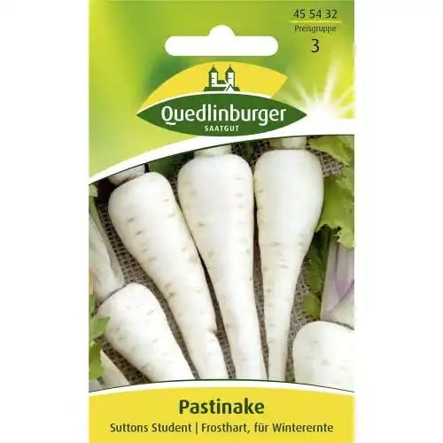 Pastinakensamen Quedlinburger Pastinake, Suttens Student
