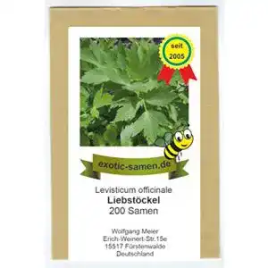 Liebstöckel-Samen exotic-samen Liebstöckel, 200 Samen