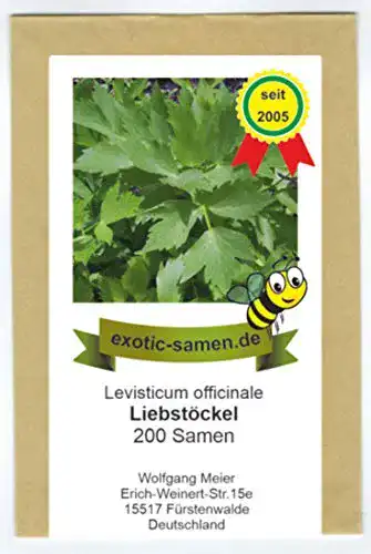 Liebstöckel-Samen exotic-samen Liebstöckel, 200 Samen