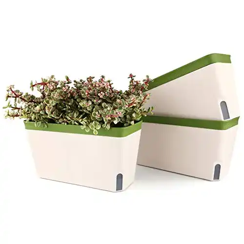 Die beste Blumenkästen mit Wasserspeicher T4U 27cm Selbstwässernd 2026 Test Bestseller Blumenkästen mit Wasserspeicher T4U 27cm Selbstwässernd