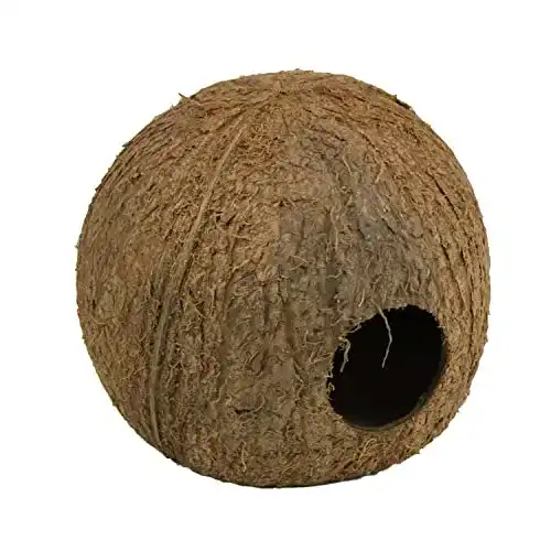 Aquariumdeko JBL 61512 Kokosnuss-Schale als Höhle