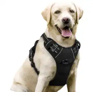 Hundegeschirr Auto rabbitgoo No-Pull Hundegeschirr, L