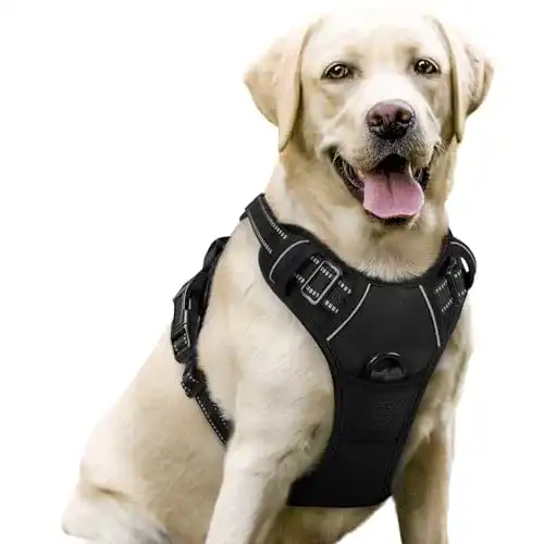 Hundegeschirr Auto rabbitgoo No-Pull Hundegeschirr, L