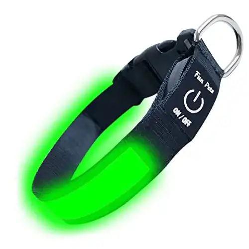 Leuchthalsband Hund Fun Pets Hundesicherheitshalsband LED