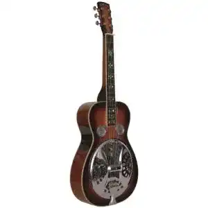 Resonator-Gitarre GOLD TONE GT.BEARD SIGN.SQR NCK DLX