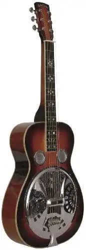 Resonator-Gitarre GOLD TONE GT.BEARD SIGN.SQR NCK DLX