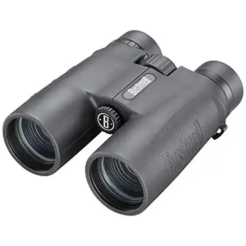 Bushnell-Fernglas Bushnell Fernglas 10 x 42 – Allzweck, robust