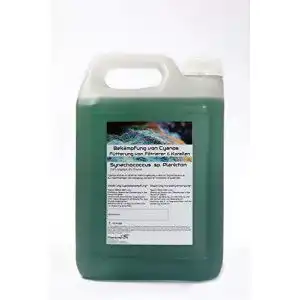 Plankton Plankton24 Synechococcus sp. (5 Liter) Cyano Stopp